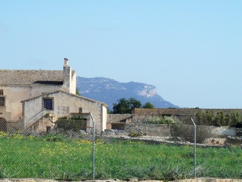 Mallorca Blick zum Puig Randa